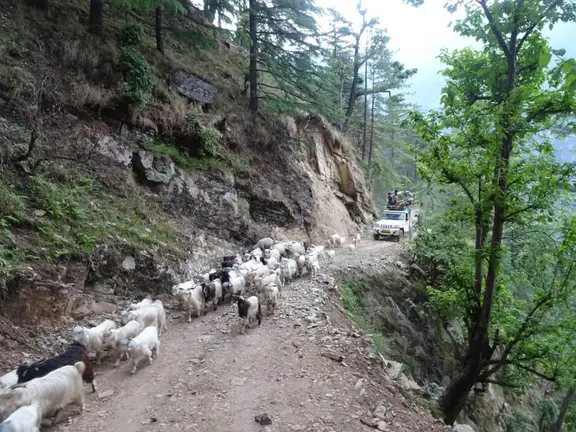 himalayan trek in march