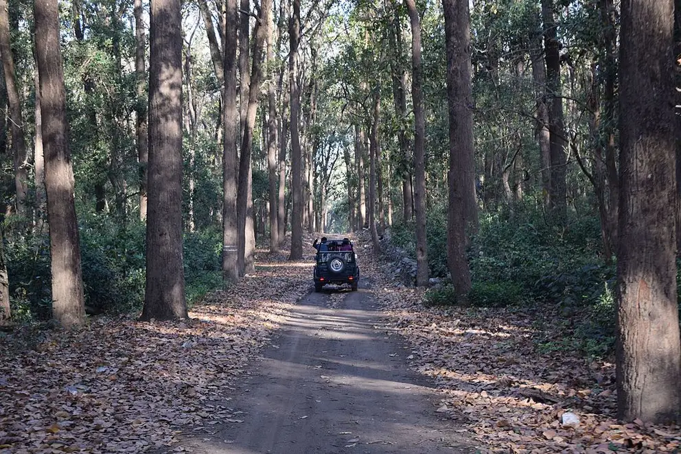 Jeep Safari in Jim Corbett Park - Main view