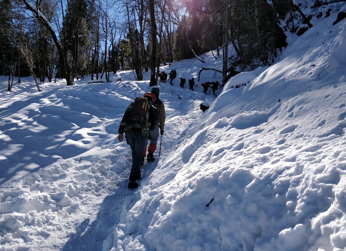 trek to kedarkantha peak