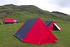 colourfull tents pitched on ground with cattle grazing uphill on roopkund tre