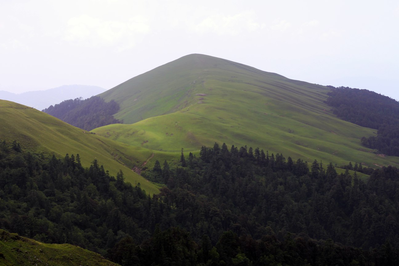 meadows at roopkund trek