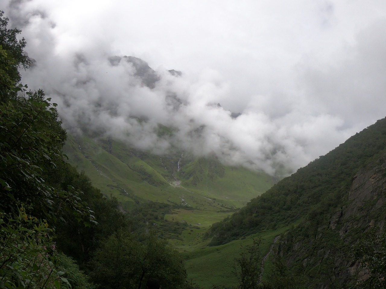 Nanda Devi National Park: A Wildlife Sanctuary In The Garhwal Himalayas