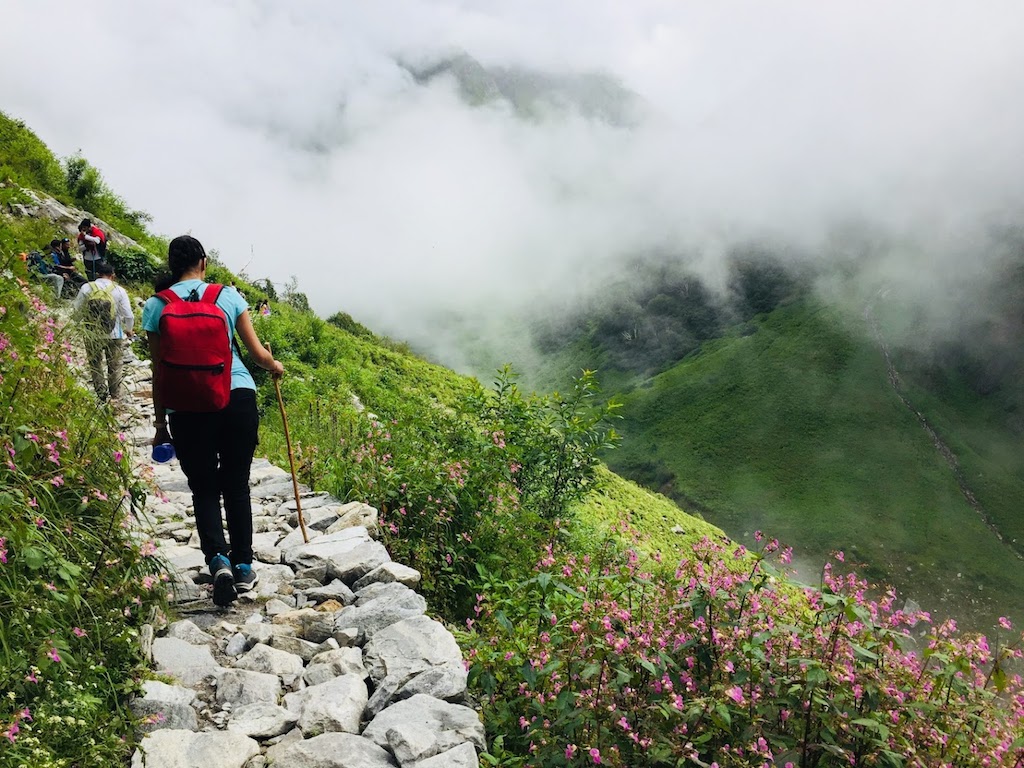 enroute valley of flowers